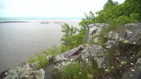 Mountain river in forest. Forest river. Thresholds on mountain river. Moss on Stock Footage 304965921