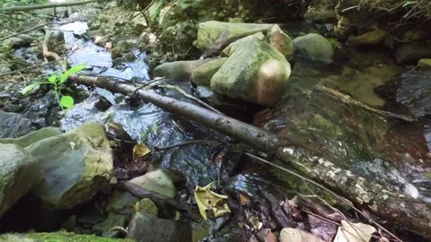 A mountain river in the forest. Hike along the ecological trail in the mountains Stock Footage 151160895