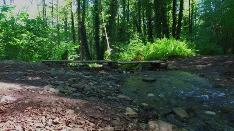 A mountain river in the forest. Hike along the ecological trail in the mountains Stock Footage 161600581