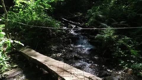 A mountain river in the forest. Hike along the ecological trail in the mountains Stock Footage 164885865