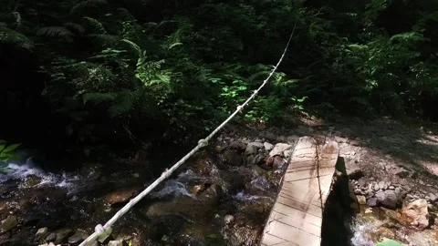 A mountain river in the forest. Hike along the ecological trail in the mountains Vídeos de archivo 165461410