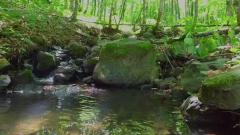 A mountain river in the forest. Hike along the ecological trail in the mountains Stock Footage 170938942