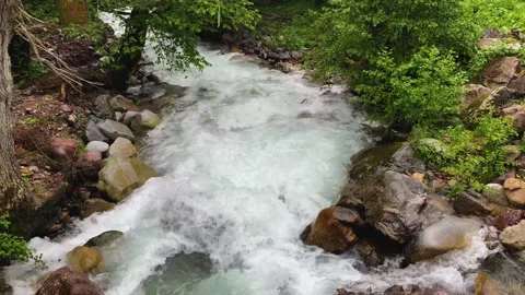Mountain river in the forest. Landscape and nature of the North Caucasus Stock Footage 157726453