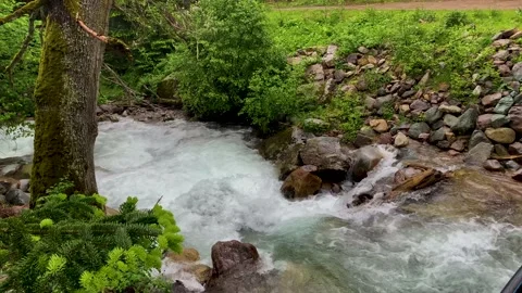 Mountain river in the forest. Landscape and nature of the North Caucasus Vidéo 157726904