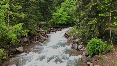 Mountain river in the forest. Landscape and nature of the North Caucasus Stock Footage 157727028