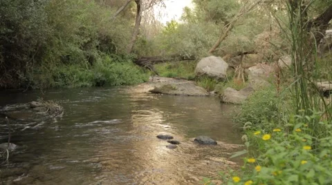 Mountain River In Forest, Landscape Video stock 41578136