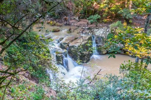 Mountain river in the forest. Mountain river in the forest. Stock Photos