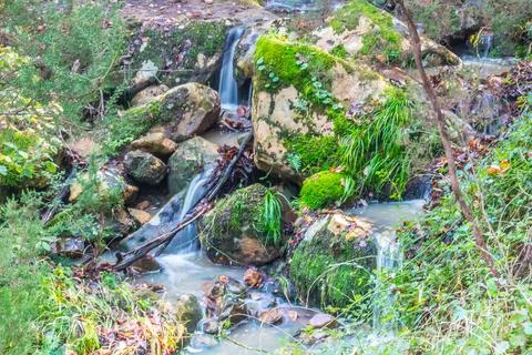 Mountain river in the forest. Mountain river in the forest. Stock Photos