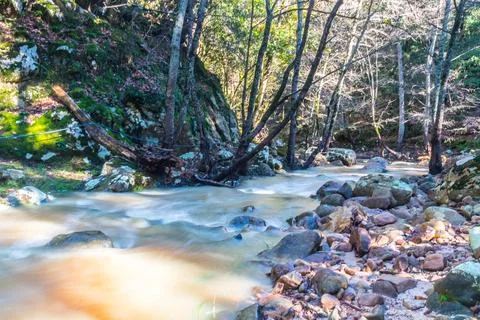 Mountain river in the forest. Mountain river in the forest. Stock Photos