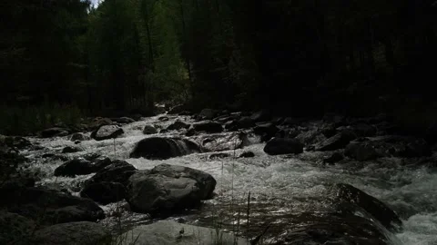 Mountain river in forest at night. Stock Footage 221159710