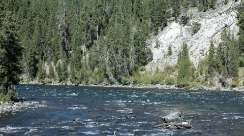 Mountain River forest P HD 2655 Stock Footage 536818