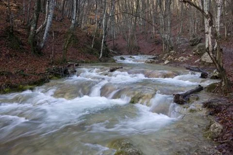 Mountain river in forest Stock Photos