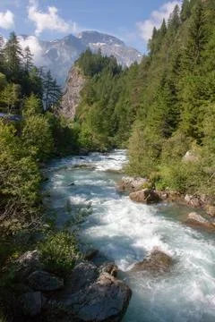 Mountain River in the forest 库存照片