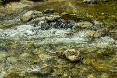 Mountain river in the forest Foto stock