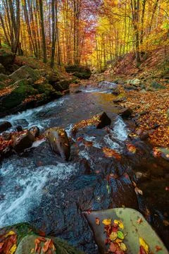 Mountain river in the forest Foto stock