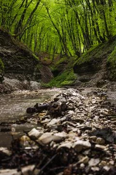 Mountain river in the forest Stock Photos