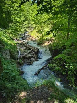 Mountain river in the forest Stock Photos