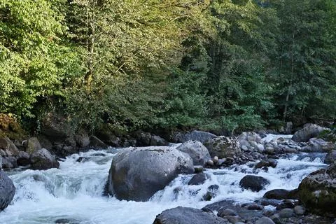 Mountain river in the forest 스톡 사진