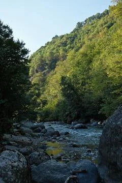Mountain river in the forest Foto stock