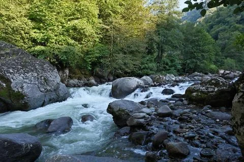 Mountain river in the forest Stock Photos