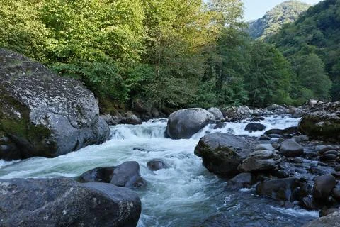 Mountain river in the forest Foto stock