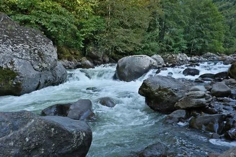 Mountain river in the forest 스톡 사진