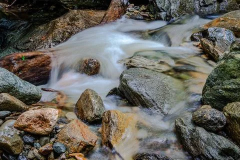 Mountain river in the forest Stock Photos