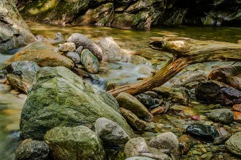 Mountain river in the forest Stock Photos