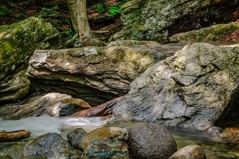 Mountain river in the forest Stock Photos