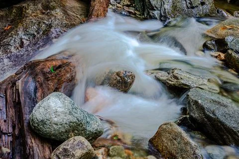 Mountain river in the forest Stock Photos