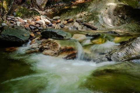 Mountain river in the forest Stock Photos