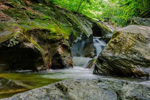 Mountain river in the forest Stock Photos