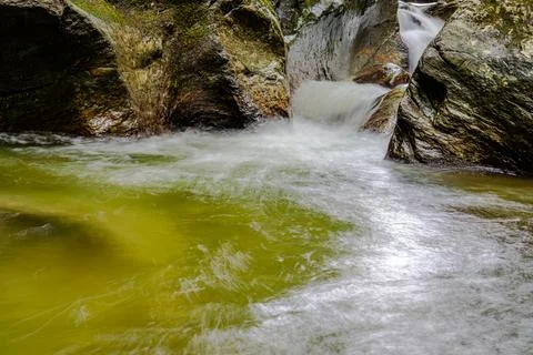 Mountain river in the forest Stock Photos