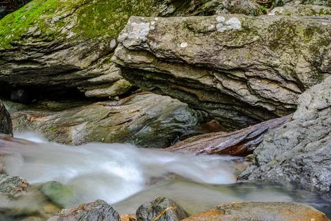 Mountain river in the forest Stock Photos