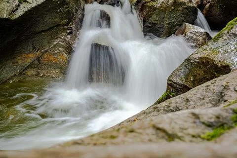 Mountain river in the forest Stock Photos