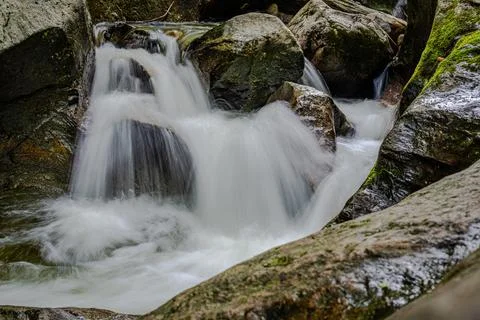 Mountain river in the forest Stock Photos