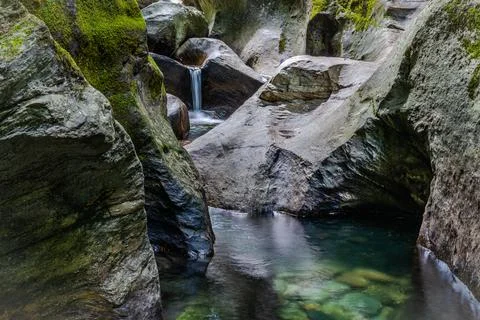 Mountain river in the forest  Stock Photos