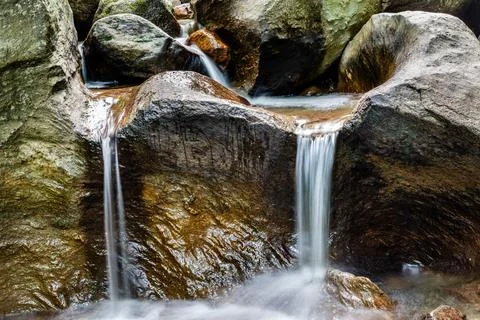 Mountain river in the forest  Stock Photos