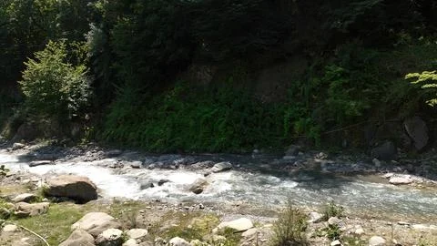 Mountain river in the forest Foto stock