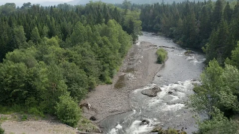 Mountain river in the forest. Sakhalin island. 2019 year. Stock Footage 116251553