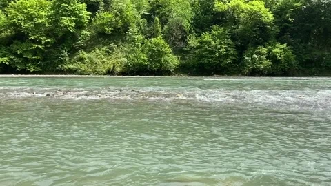 Mountain river in the forest in summer Stock Footage 150665183