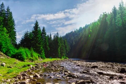 Mountain river in the forest with sunlight. Stock Photos