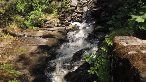 Mountain river in forest. view from the middle of a waterfall Stock Footage 134737176