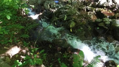 A mountain river forms a stream in the forest. Hike along the ecological trail Video stock 161600537