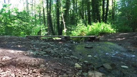 A mountain river forms a waterfall in the forest. Hike along the ecological Stock Footage 141301439