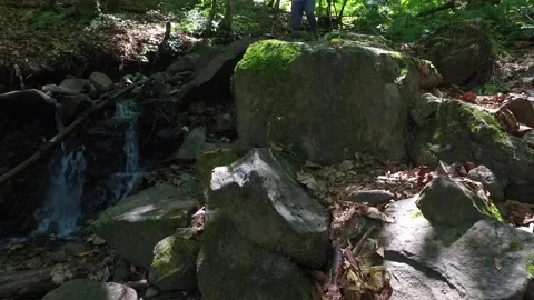 A mountain river forms a waterfall in the forest. Hike along the ecological Stock Footage 142981720