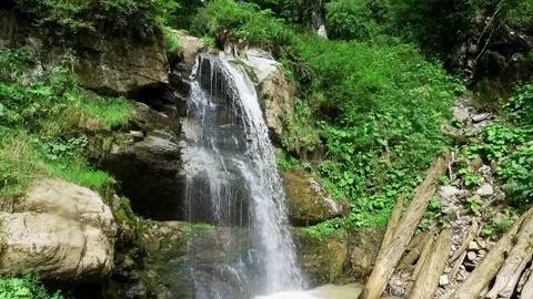 A mountain river forms a waterfall in the forest. Hike along the ecological Stock Footage 143484148
