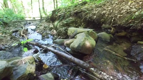 A mountain river forms a waterfall in the forest. Hike along the ecological Stock Footage 149424638
