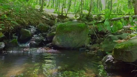 A mountain river forms a waterfall in the forest. Hike along the ecological Stock Footage 151160876
