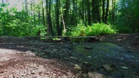 A mountain river forms a waterfall in the forest. Hike along the ecological Stock Footage 157803684